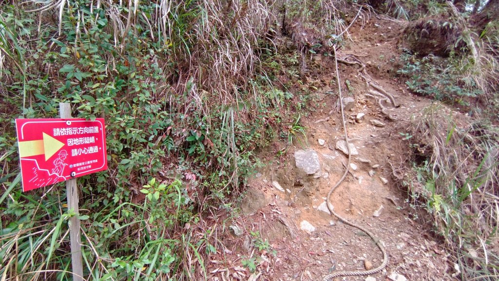 百岳C級路線之佳陽山_2091115