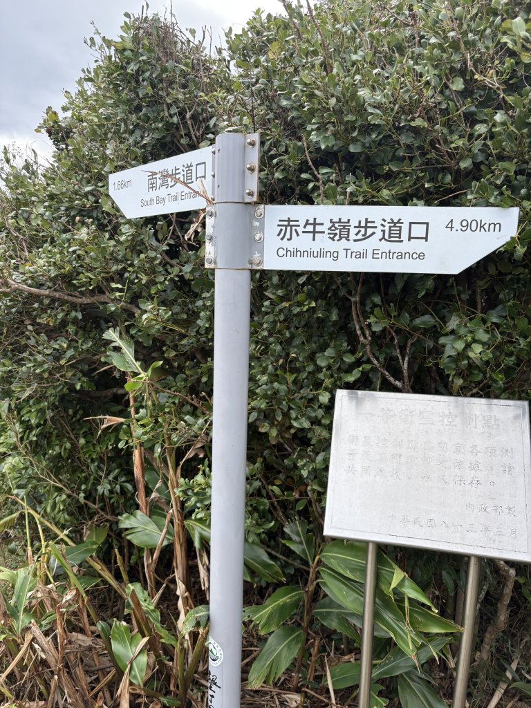 20251129大山母山步道_2951908