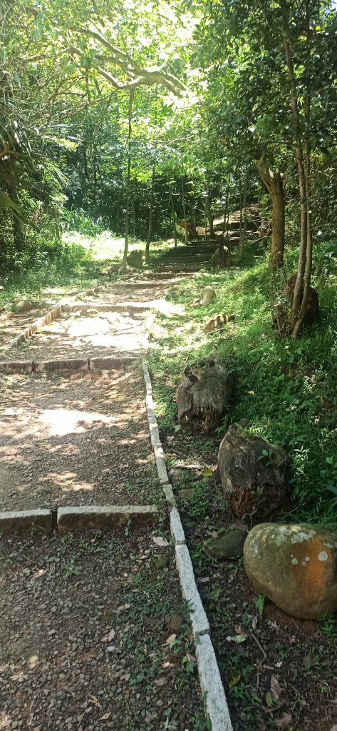保甲古道+東森步道=美麗的花兒，綠綠的草地_1747232