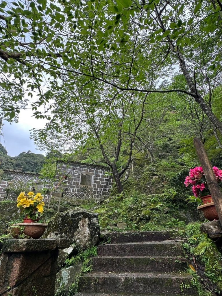 楓樹湖古道、天元宮_2809373