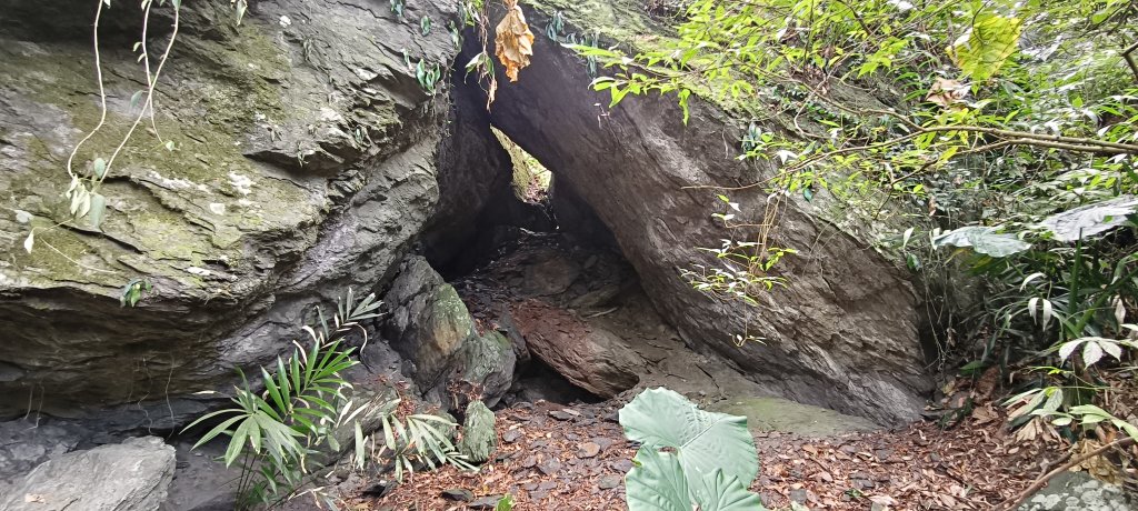 2026/01/01_雪山坑環線步道O型_2978094