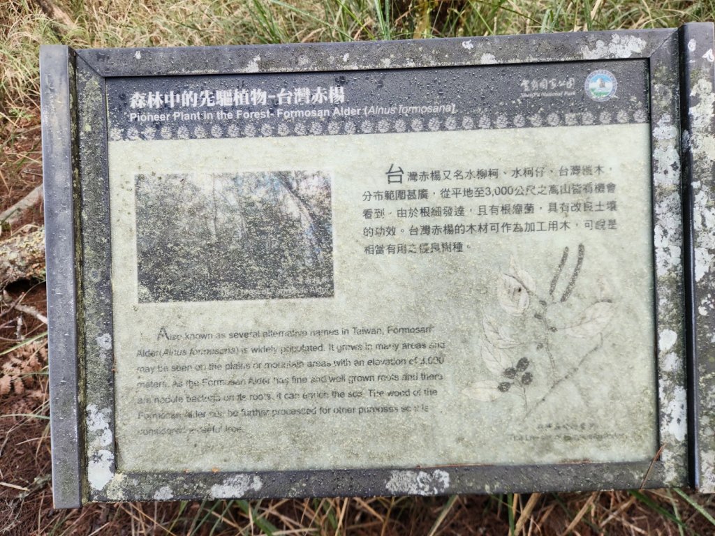 【百岳】志佳陽大山_2779848