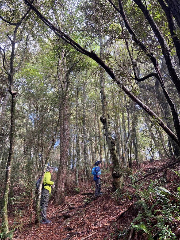 鳶嘴,捎來,橫嶺_1958473