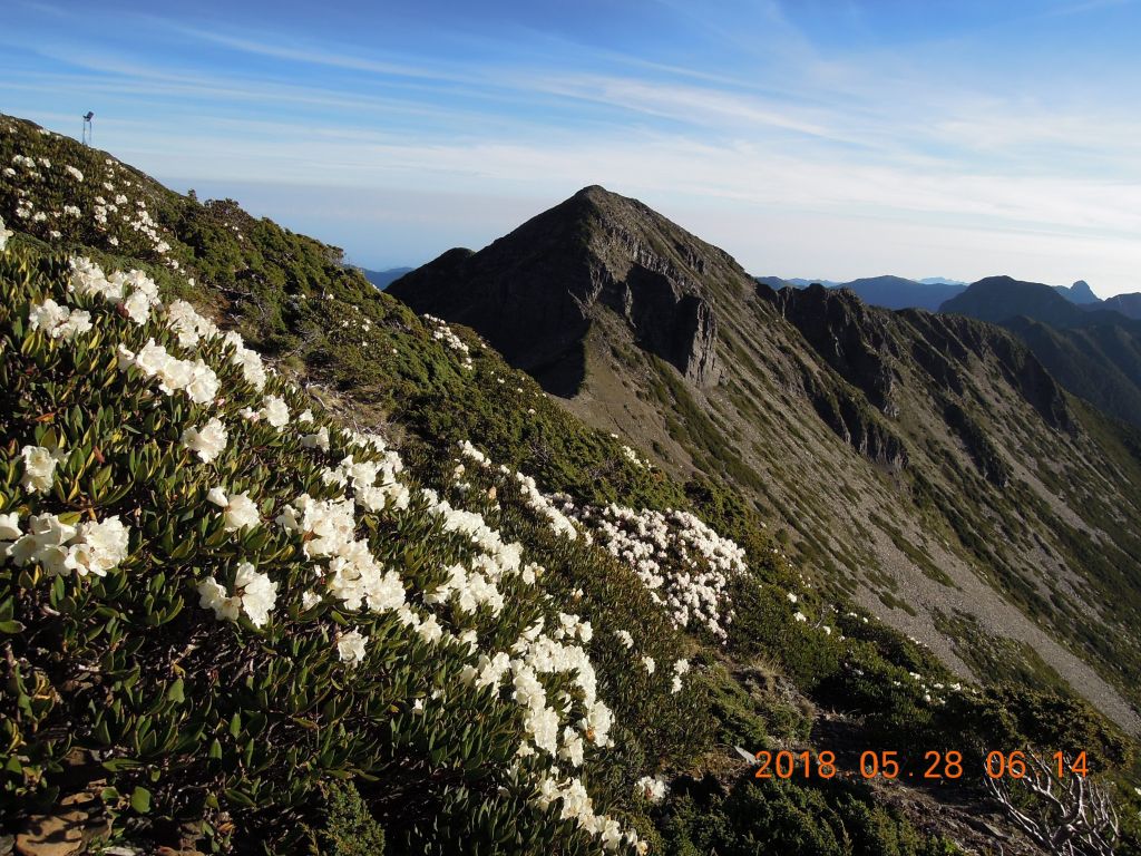 20180827-28_雪山主東_396314