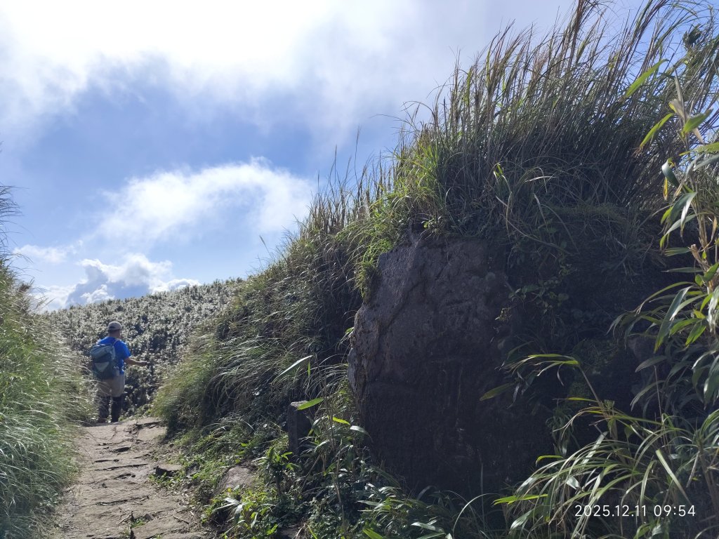 【臺北大縱走 2】【第二回合全程完成證書】鞍部→大屯山步道→大屯山主峰→大屯坪步道→二子坪步道_2960361