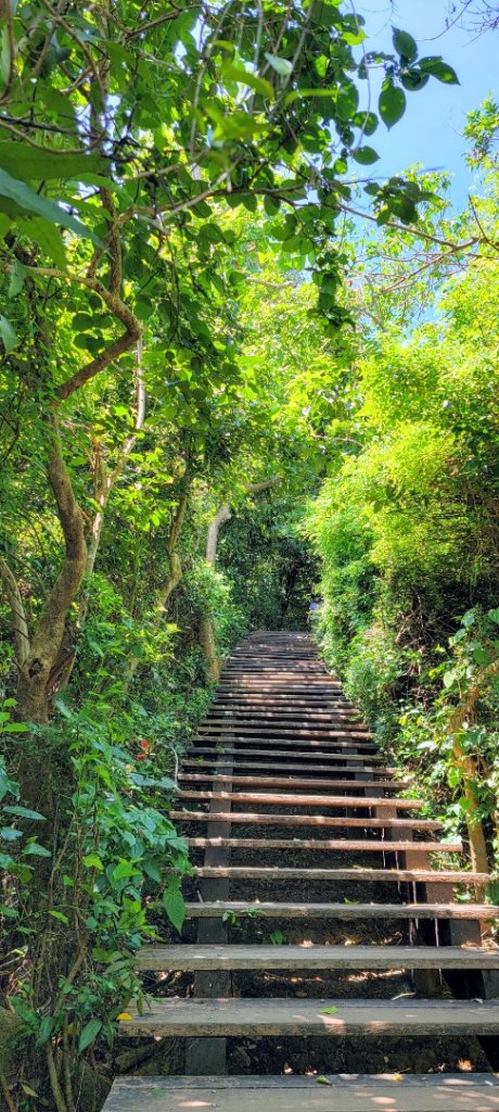 柴山登山步道_1454426