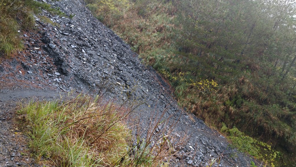 20200126~27 奇萊南華_818023