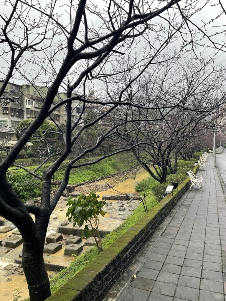 汐鴿展趐_2978426