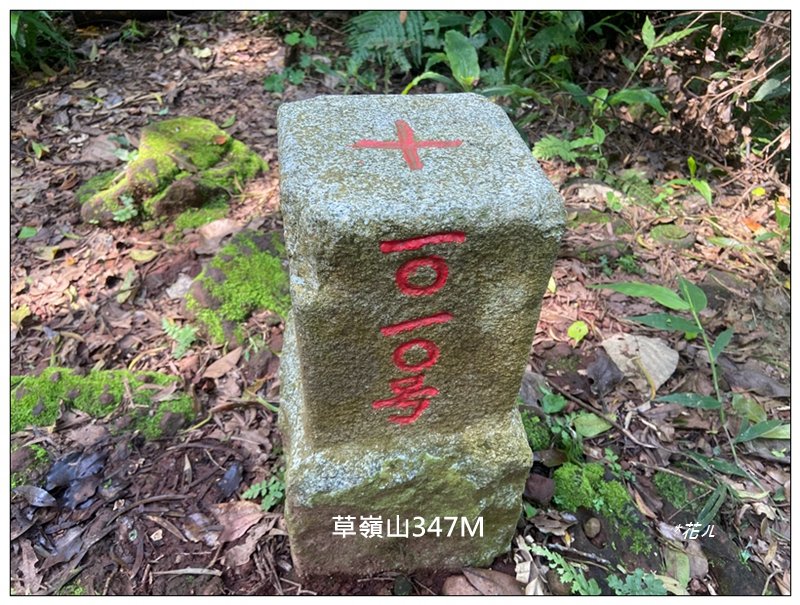 草嶺山、白石山、頭寮山 六連峰 O型路線_2798535