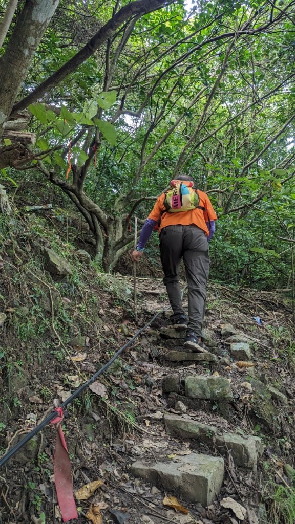 113.06.16白沙丘山-舊草嶺隧道-隆嶺古道之旅_2530541