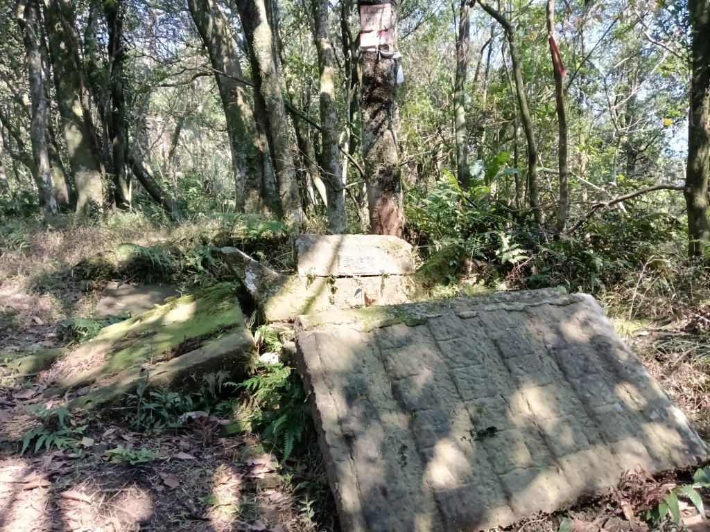 坪林區楣子寮尖+土地公遺址+火燒寮古道+枋山坑古道+枋山坑崙O型_2985663