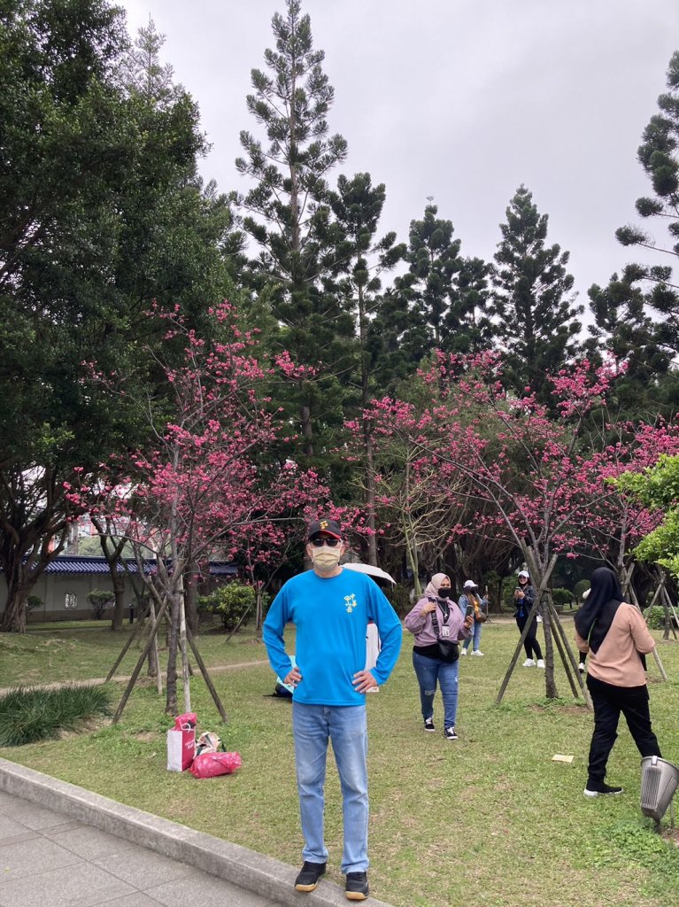 自由廣場、國家戲劇院、國家音樂廳、中正紀念堂賞櫻及尋寶趣【齊心鞋力尋寶去】_2038767