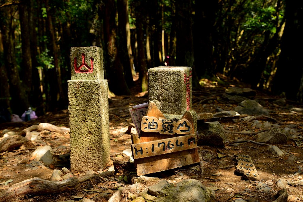 羅山林道登油羅山封面圖