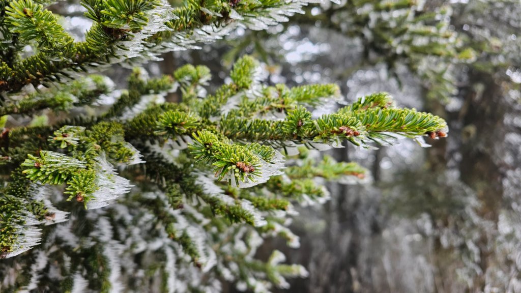 112.3.13～3.14 冰封奇萊主北_2074281