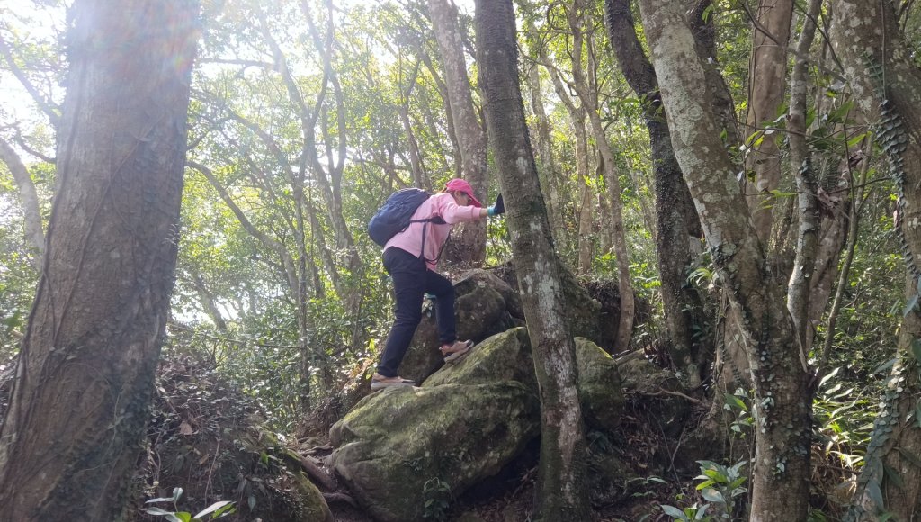 (姨婆趴趴走)第四十六集:新竹關西赤柯山及南峰、東西獅頭山、馬福山環狀縱走_2685742