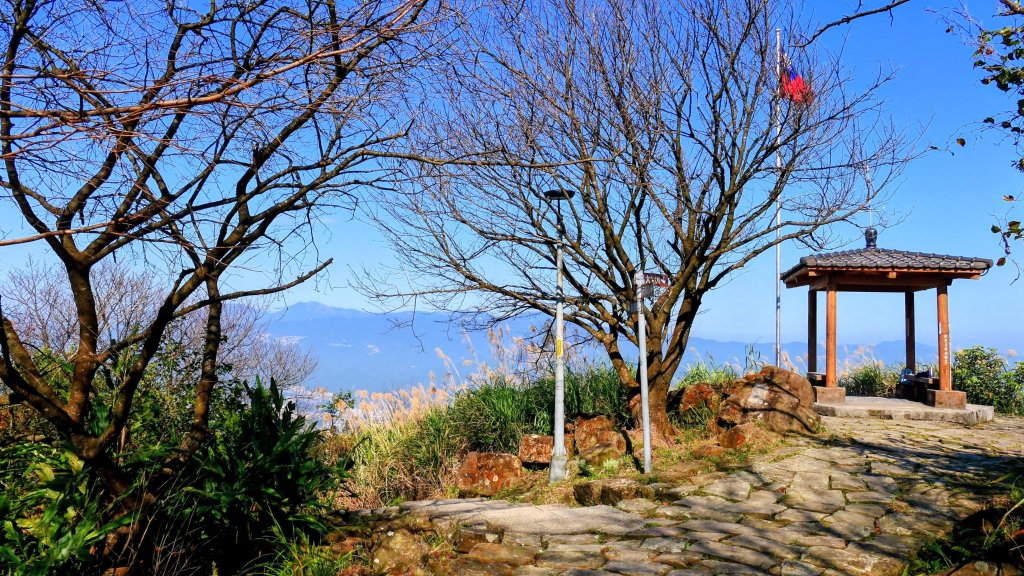 水返之城_2982939