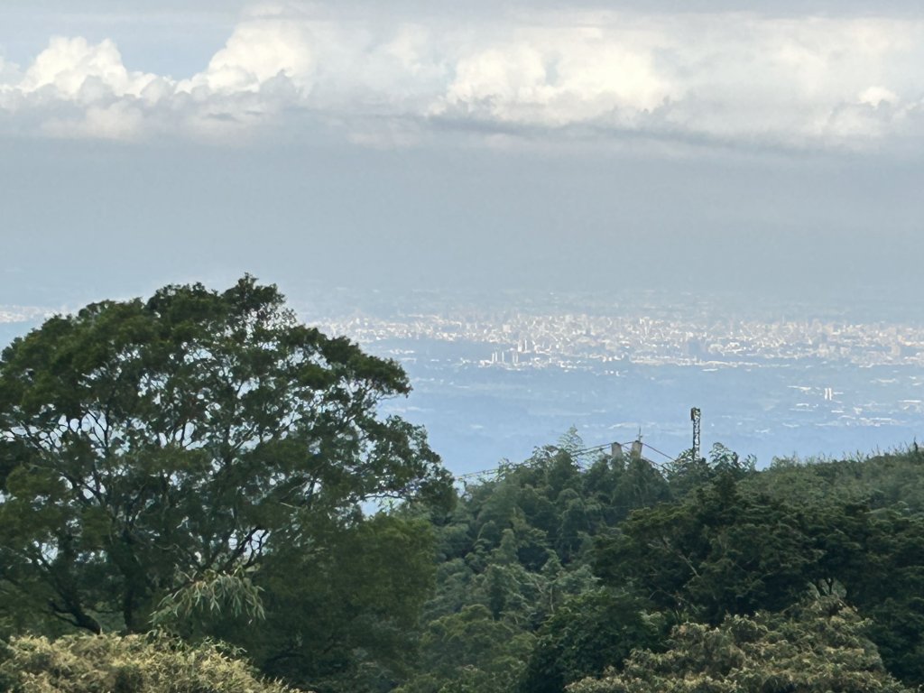 梨子腳山_2295094