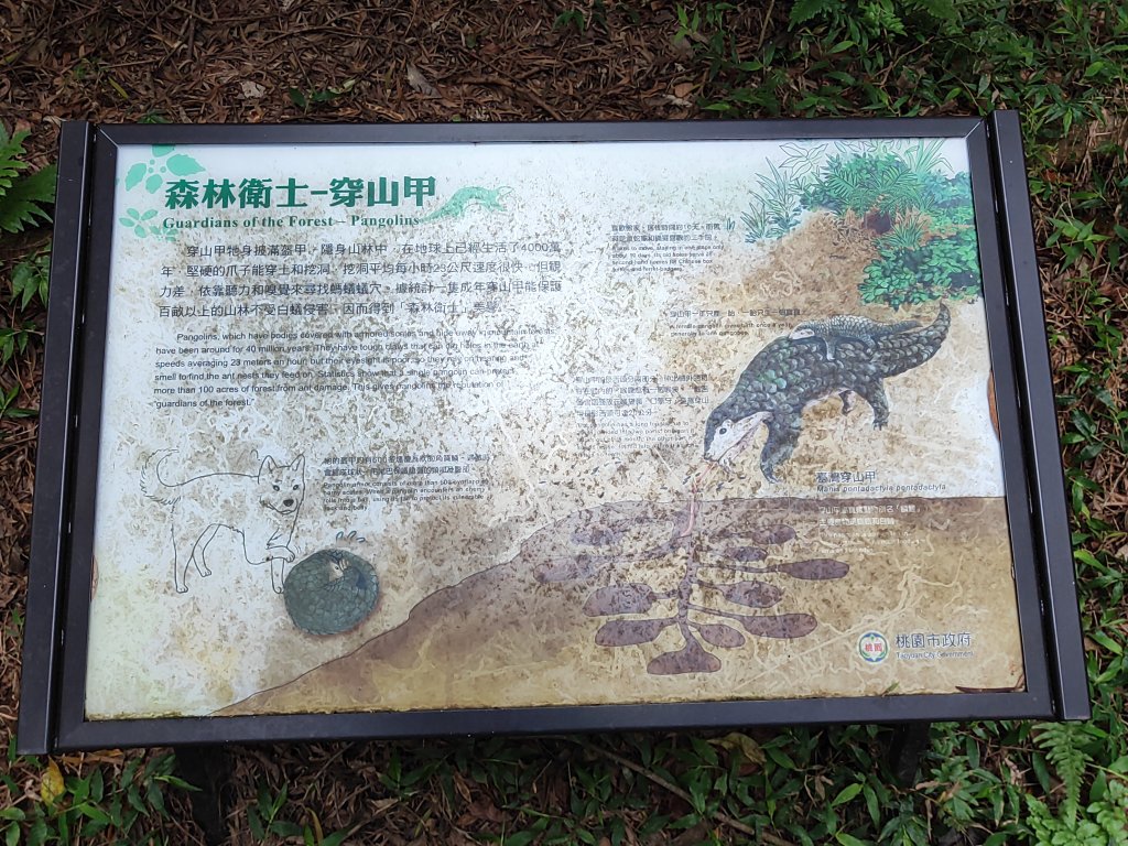 五酒桶山_3003904