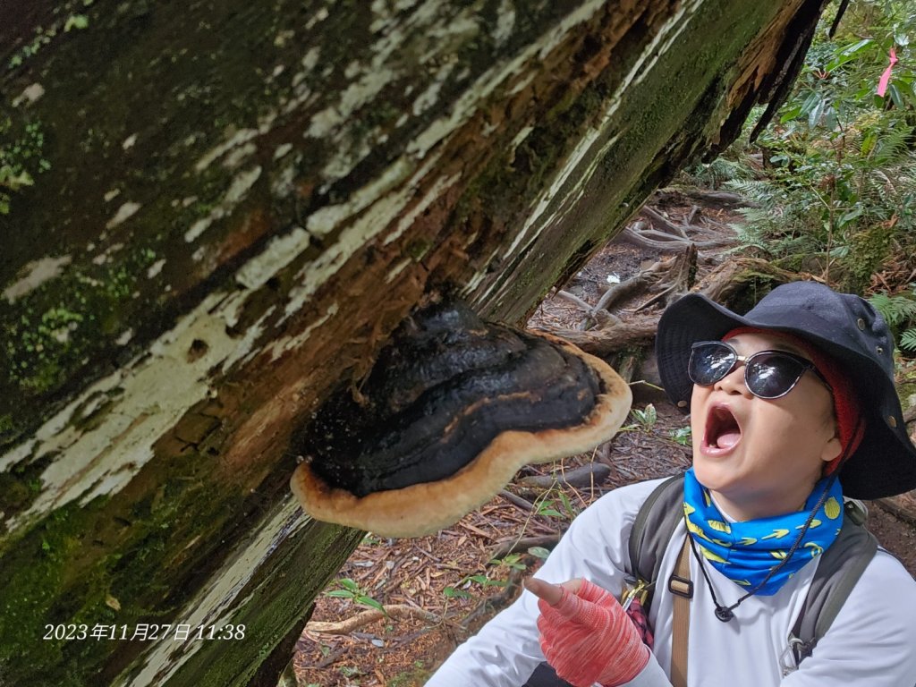 翩翩起舞的塔曼山_2363436
