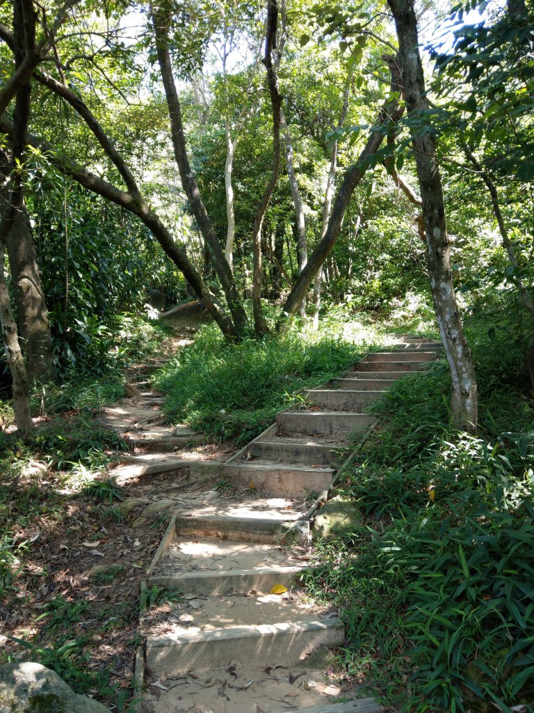 金面山步道-金面山-剪刀石山_677958