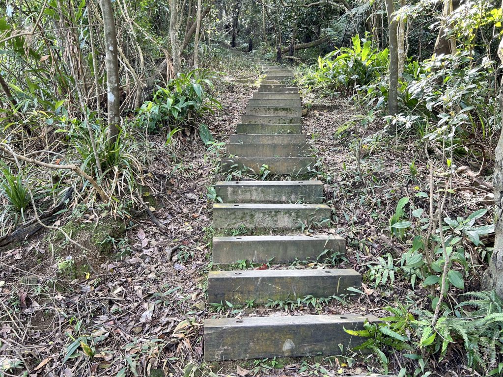 暖東峽谷步道_2949291