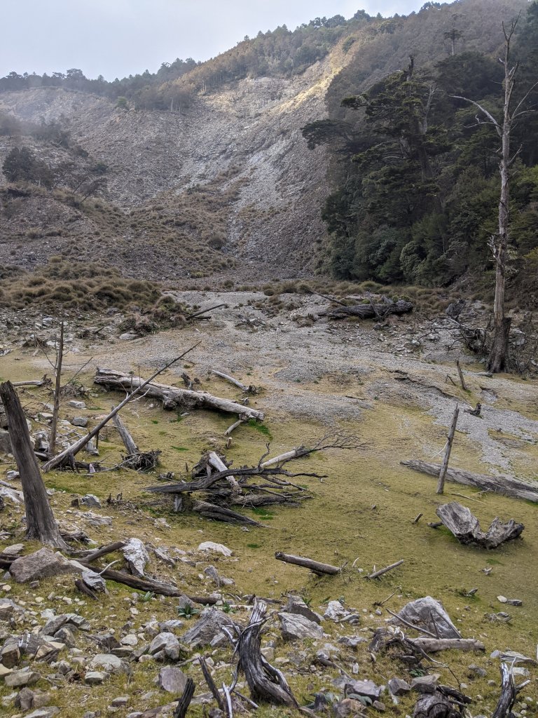 【高雄桃源】小關山林道上小關山_1275155