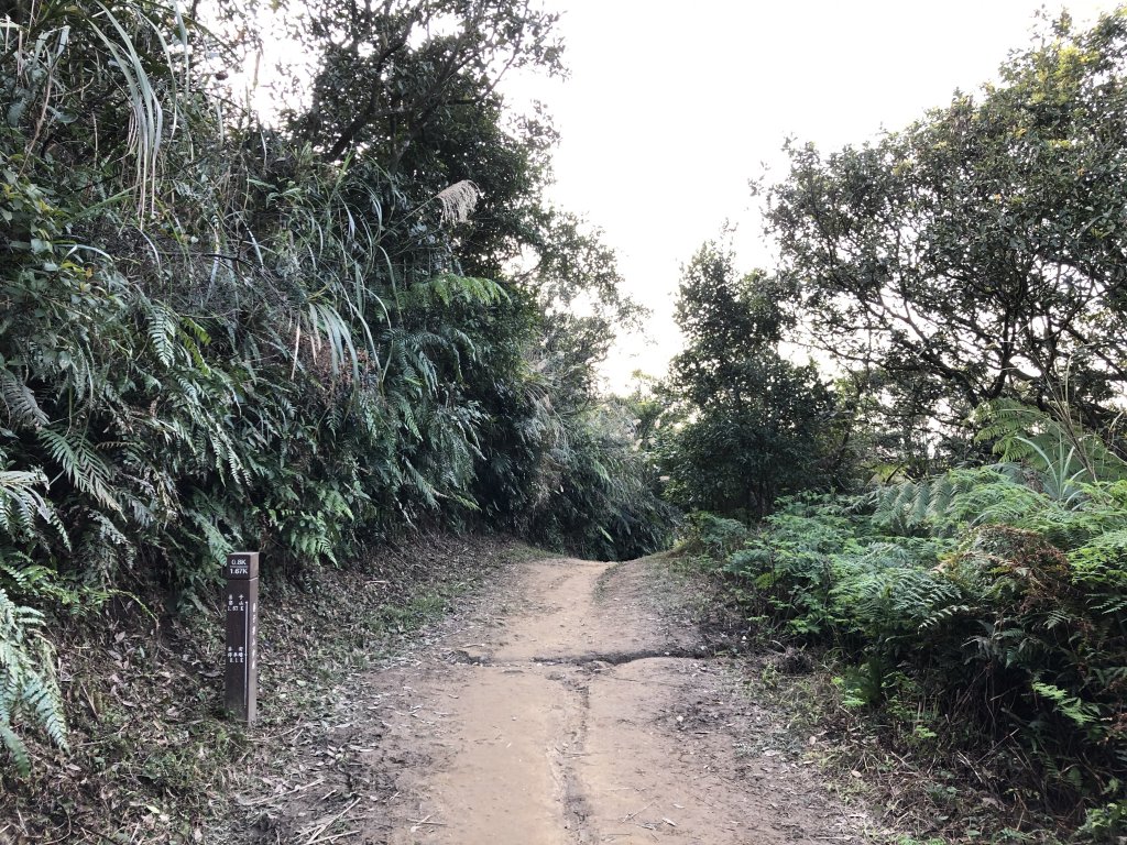 台灣小百岳No.011姜子寮山_908461