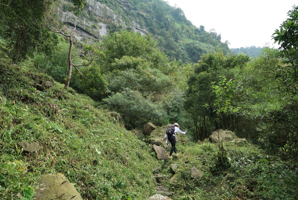 九凍雞縱走_2467970