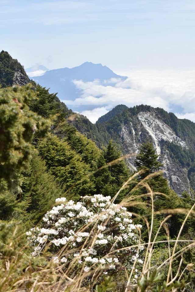 2019.04.06羊頭山_565451