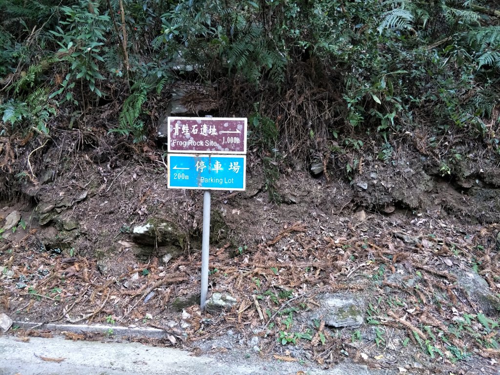 惠蓀林場_1281448