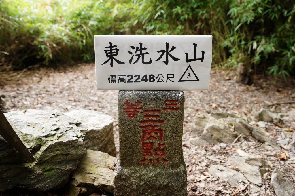 苗栗 泰安 東洗水山、北坑山、大板根封面圖