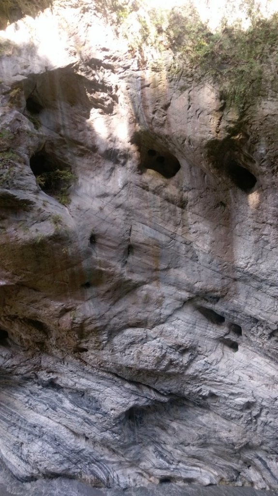 花東趴趴走_635875