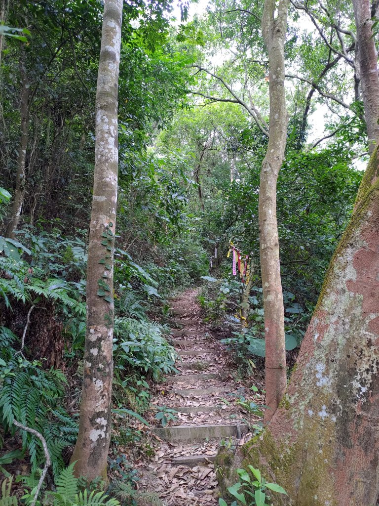 關西赤科山-赤科山南峰-東獅頭山O形_1621488