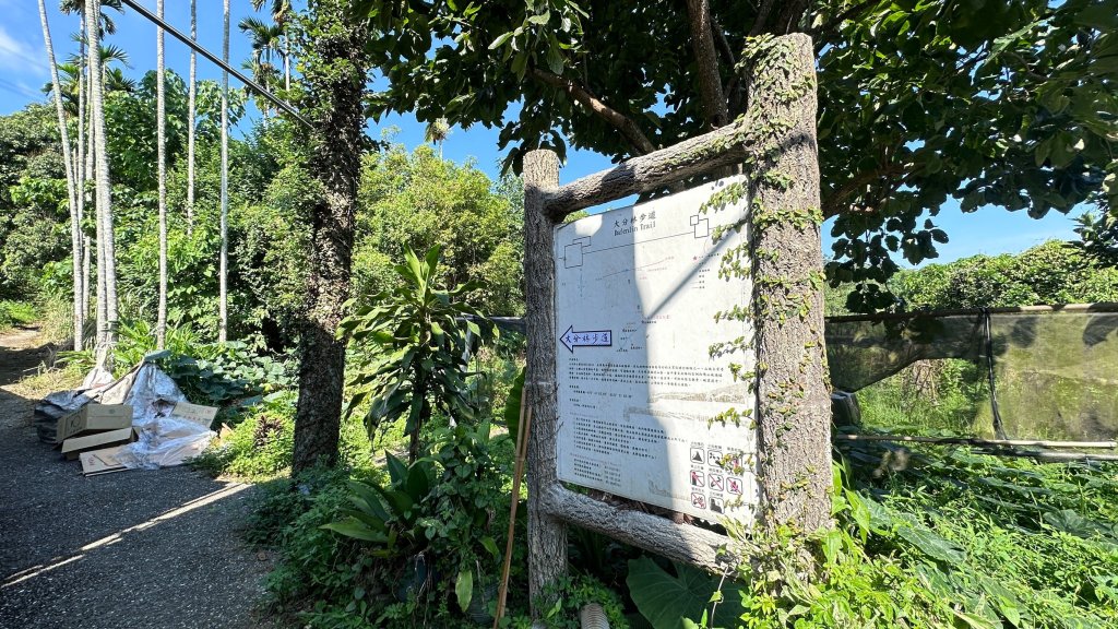 大分林山步道輕鬆走封面圖