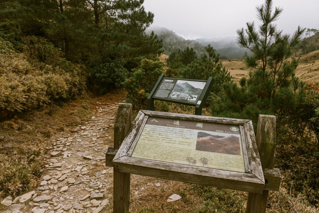 沉睡在郡大林道的龍貓公車_2010772