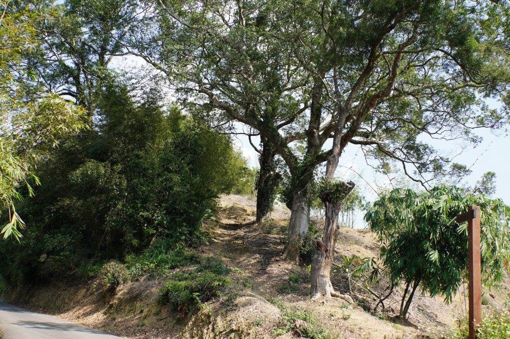 桃園 大溪 新溪洲山、溪洲山、林嵩壽山、內湳溝山、頭寮山_3006240
