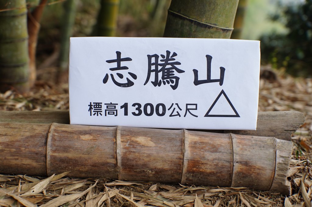 南投 鹿谷 大崙頭山、貓冬望山、樟空倫山、志騰山、竹崙山_2993374