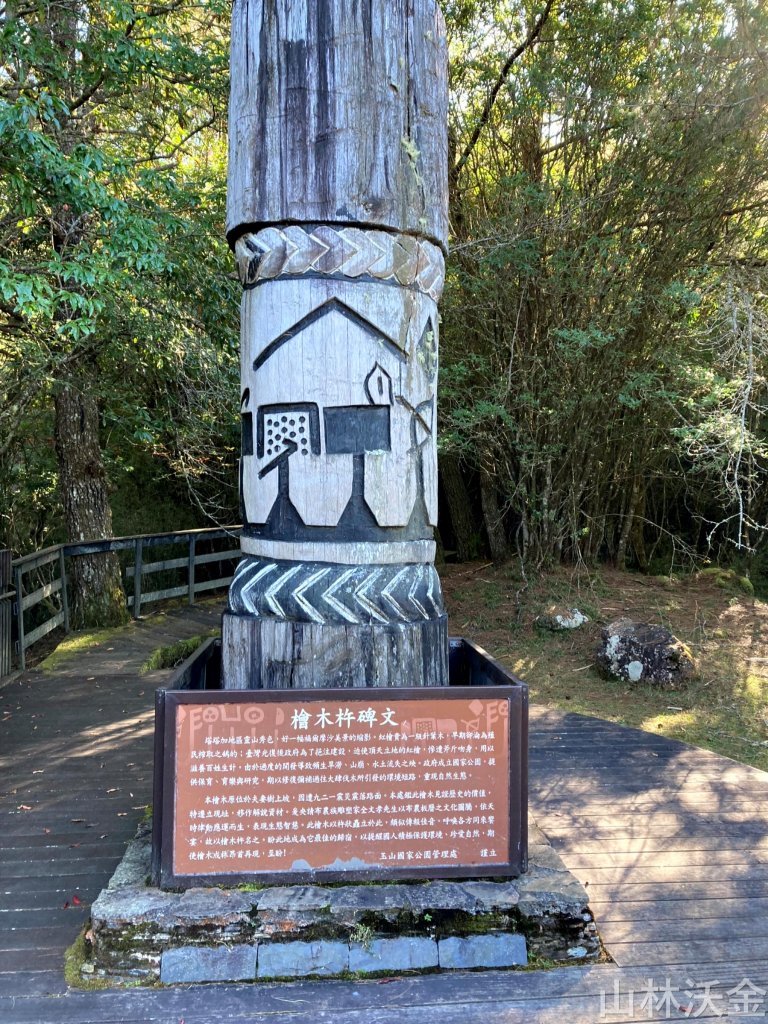 2023-11-26 東埔大草原步道_2363791
