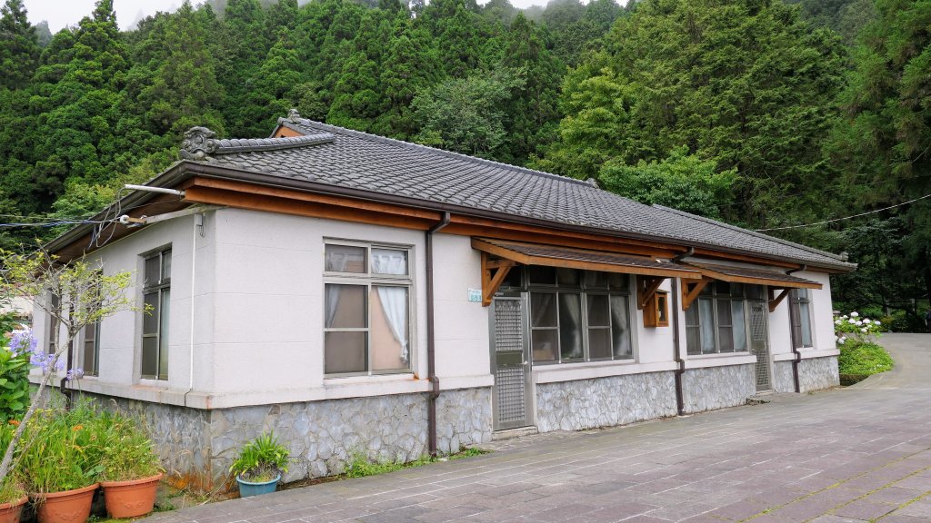 阿里山森遊區-神木步道_2536756