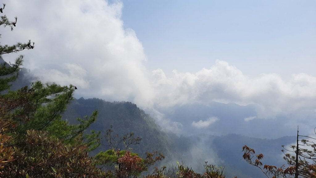 《台中》訪一葉蘭｜大雪山210林道（船型山林道）上烏石坑山20230412_2111448