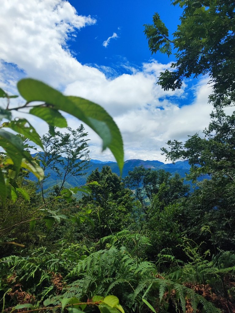 民都有山_2845000