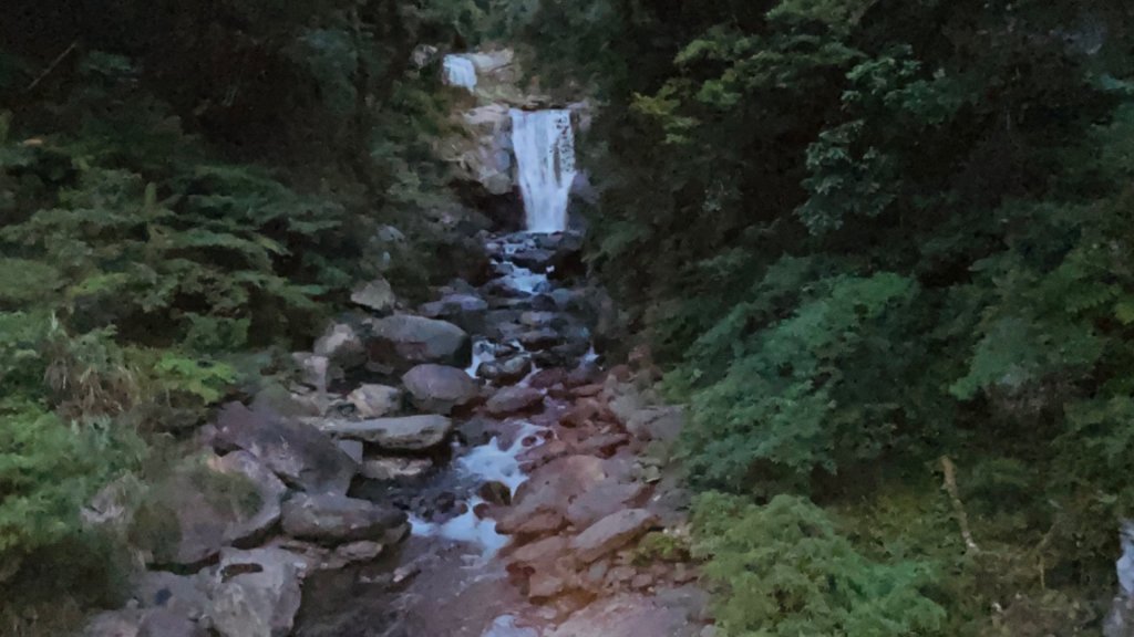 1101009內洞森林遊樂區_1484820