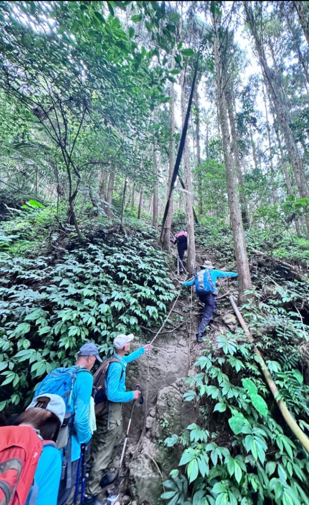 光天高山 - 向天湖山(小百岳32) 小O一圈_2876929