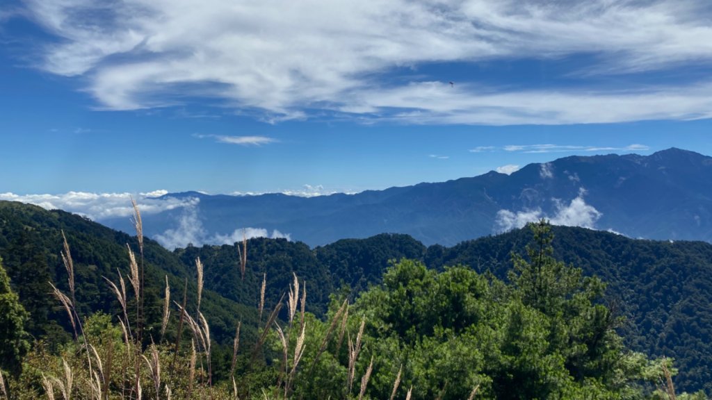 桃山。今夏最美的360度大景_1482795