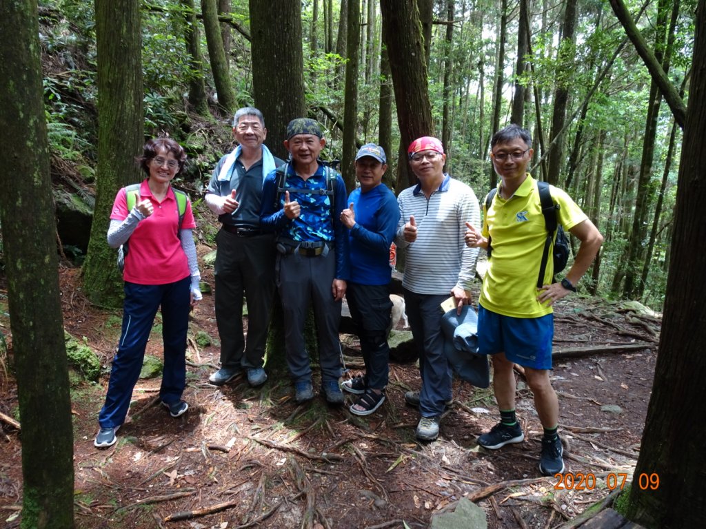 橫嶺山自然步道2020.07.09_1029083