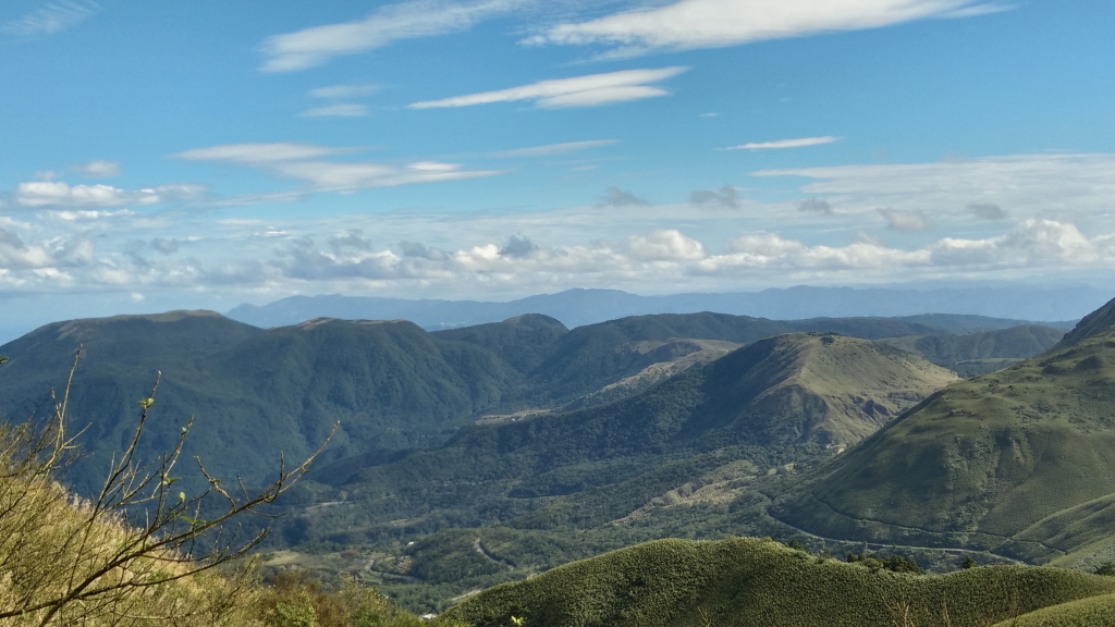 在郊山遇見百岳箭竹草原稜線~小觀音山群峰_81647