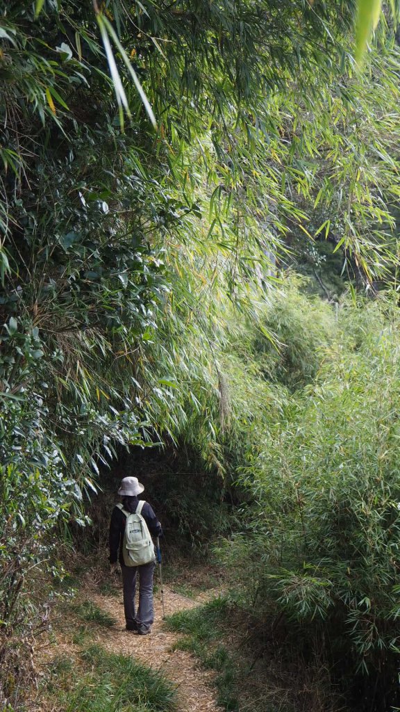 台中鞍馬山船型山蹤走20191124_748559