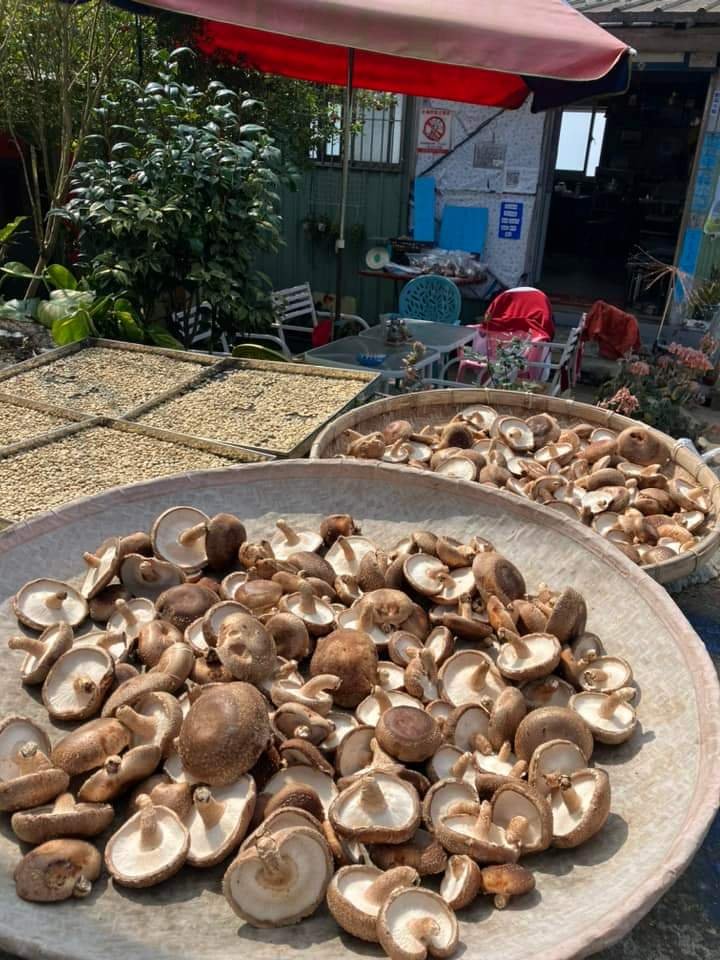 20240317十分速C團爬山趣_2457021