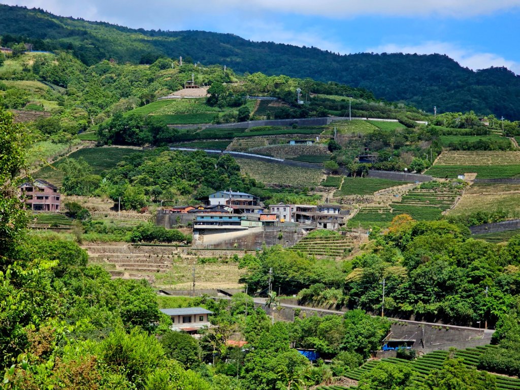 枋山坑古道(淡蘭中路)-新北市坪林區封面圖