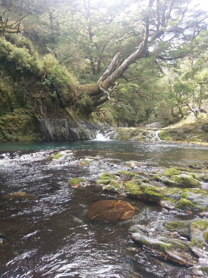 108年三度馬博橫斷下嘆息灣_791009